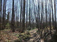 nte Cicirello-10042012 012